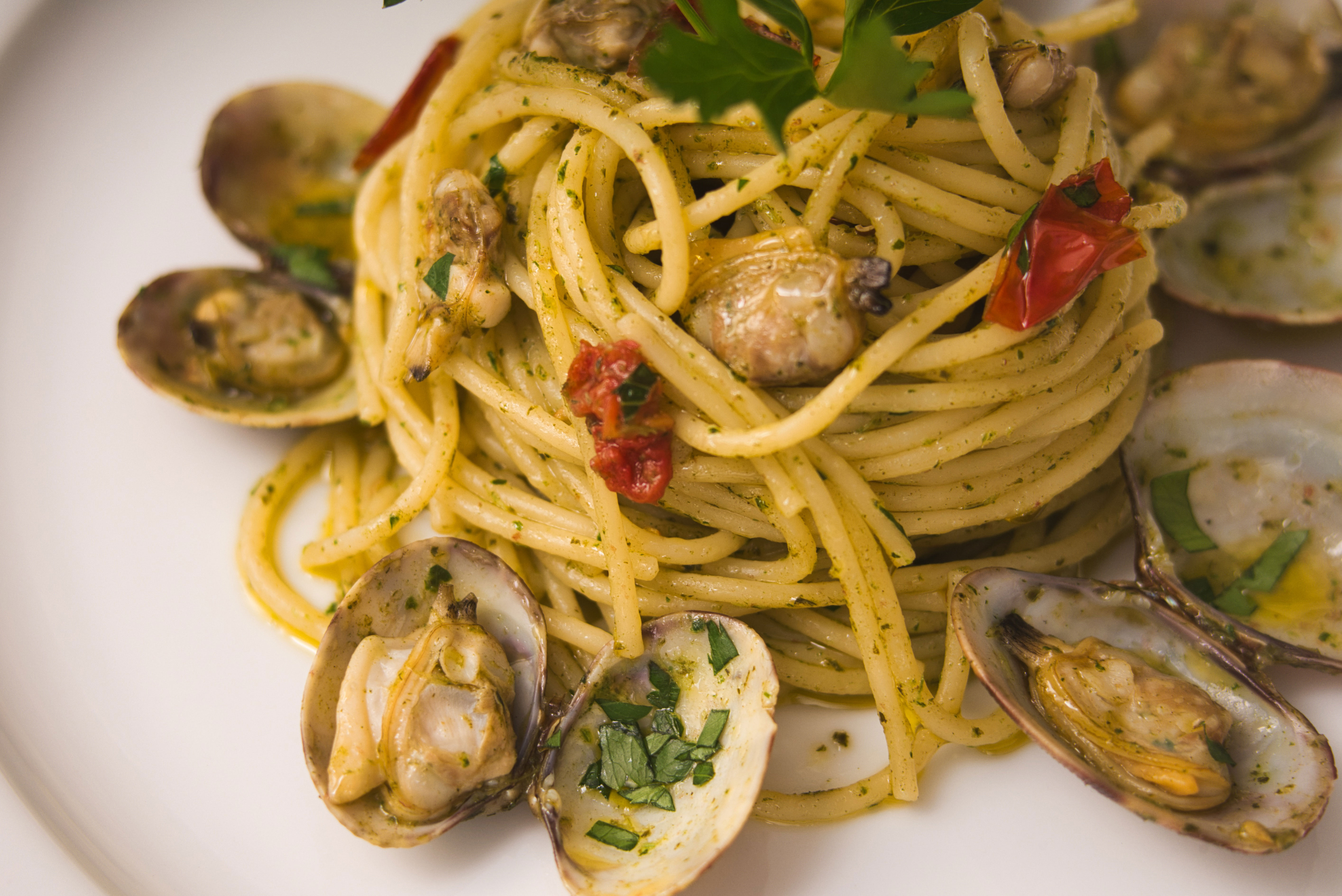 Speisekarte · Oliveto Berlin · Ristorante & Pizzeria